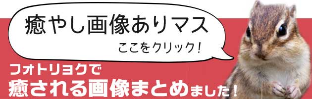 パナソニックのフードプロセッサーを買う前にぜひ読んで ...